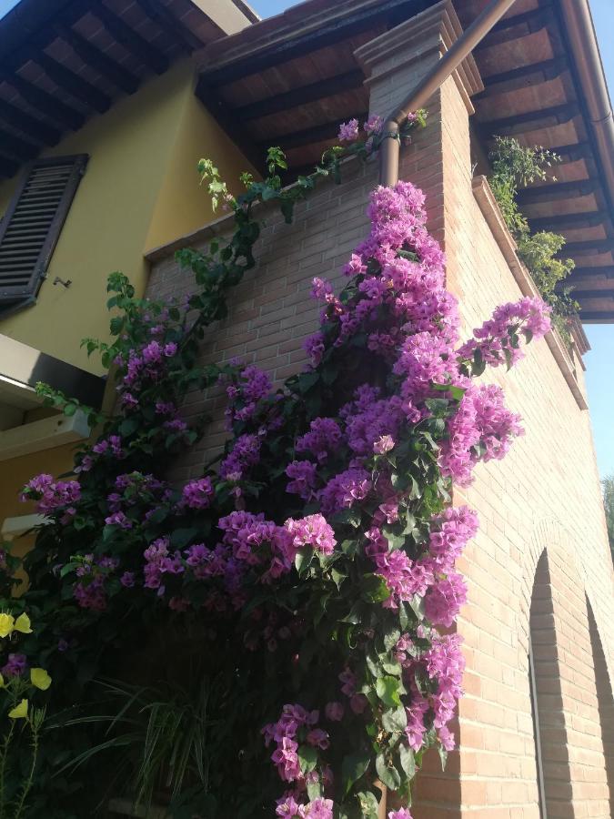 Alice'S Room By Casolare Isabella Ponsacco Exterior foto